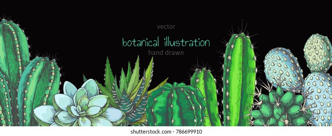 Vector background with houseplants. Vintage color illustration with cactuses and succulents for design. Natural texture with floral elements in engraving style