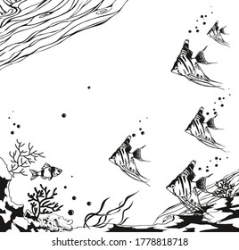 The vector background, illustration with the beautiful scalar fishes. In black color on white