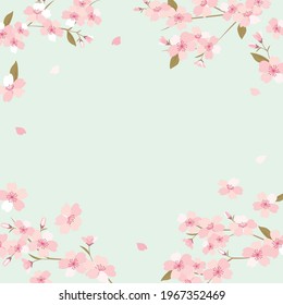 Vector background illustration with cherry blossom flowers