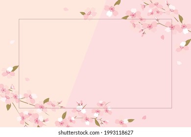 Vector background illustration with cherry blossom flowers