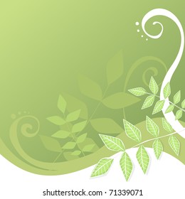 Vector background illustration of green swirly vines and leaves.