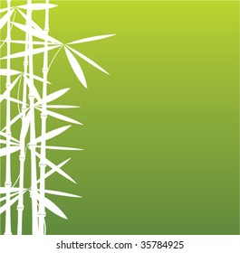 vector background illustration of japanese bamboo branches
