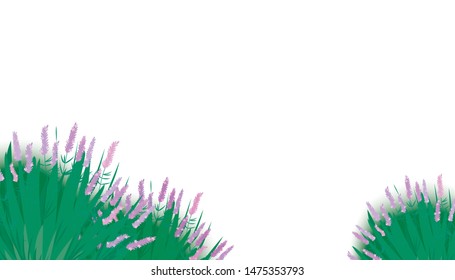 Vector background illustration of lavender flowers with green leaves.