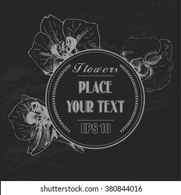 Vector background - illustration Orchid