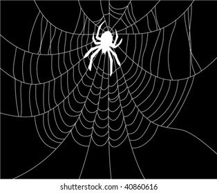 vector background illustration of spider silhouette and web, for wallpaper decoration
