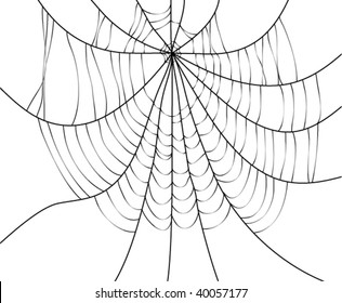 vector background illustration of spider web construction 