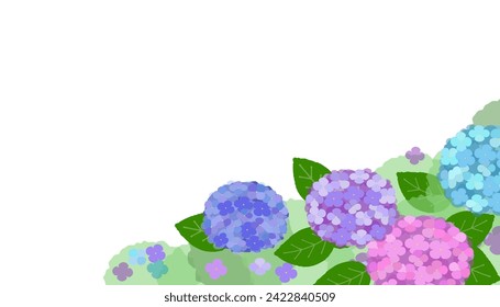 vector background image of colorful hydrangea flowers  with rain drops