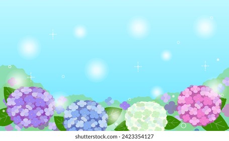 vector background image of colorful hydrangea flowers  with rain drops