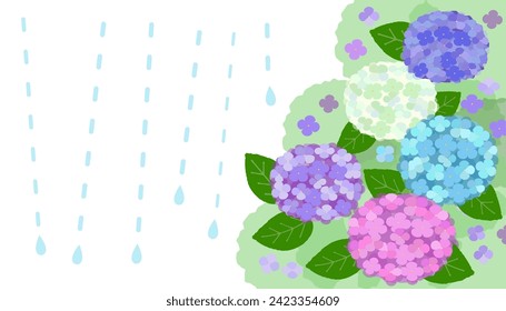 imagen de fondo vectorial de las flores coloreadas de hidrangea con gotas de lluvia