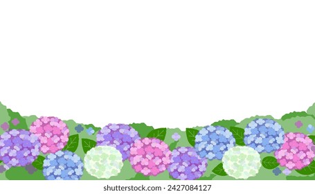 vector background image of colorful hydrangea flowers