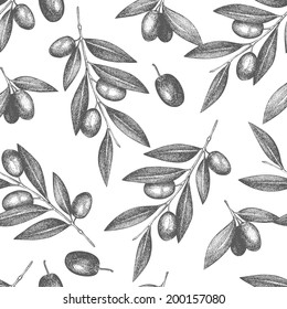 Vector background with  ink hand drawn olive tree twigs isolated on white. Vintage olive background