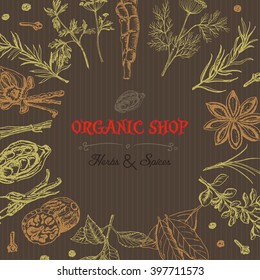 Vector background with isolated spices and an inscription in the middle. Vector  illustration for your design