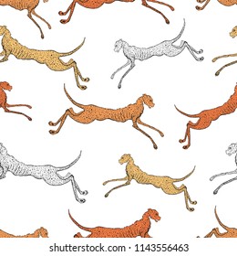 Vector background of the jumping panthers