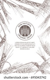 Vector background for label, package. Monochrome sketch illustration of wheat and logo design. Concept for organic flour, harvest and agriculture, grain, cereal products, bakery, healthy food.