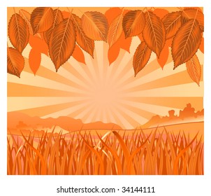 Vector background with leaf and grass in orange color, illustration
