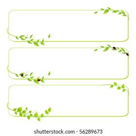 vector background with leaf and ladybird.