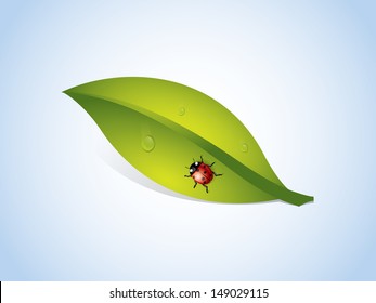 Vector background with leaf and ladybug