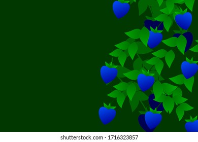 vector background of leaves with blue fruits
