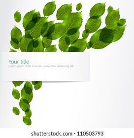 Vector background with leaves. EPS10