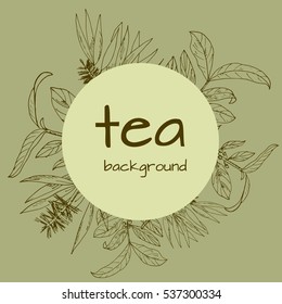 vector background with leaves of tea tree. Hand drawn