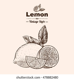 Vector background with  lemon . Hand drawn. Vintage style