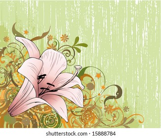 Vector background with lily in vintage style 3