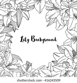 vector background with  line drawing lily flowers and leaves, hand drawn floral illustration