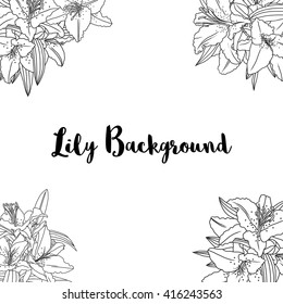 vector background with  line drawing lily flowers and leaves, hand drawn floral illustration