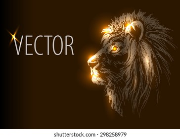 Vector background with lion head