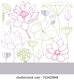  Vector background with lotus. 