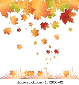 Vector background with maple falling autumn leaves. Maple leaf illustration.