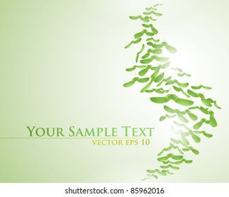 vector background with maple seeds