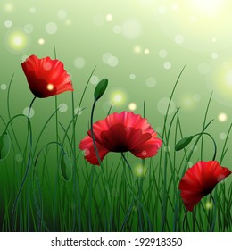 Vector background. Meadow with poppies and grass. Bokeh and sparks.