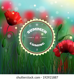 Vector background. Meadow with poppies and grass. Sky, bokeh and sparks. Round frame for your text.