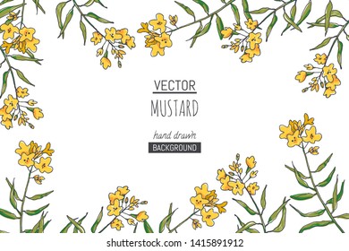 Vector background with mustard branches with flowers. Hand drawn botanical texture with herb. Sketch for floral design.