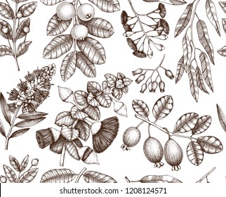 Vector background with myrtus, tea tree, guava fruit, eucalyptus, feijoa sketches. Seamless pattern with floral elements for cosmetics and medicine design. Botanical illustration.