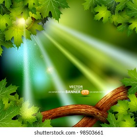 vector background of the mystical mysterious forest with trees and leaves