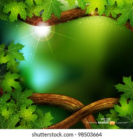 vector background of the mystical mysterious forest with trees and leaves