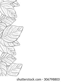 Vector background - nature foliage leaves border frame with copy space and white backdrop, black and white