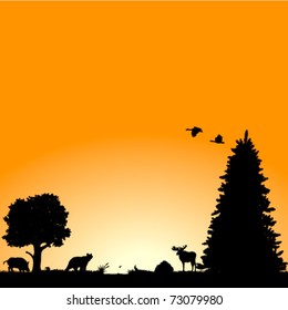 Vector background with North American wildlife : plants, birds and animals