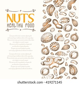 Vector background with nuts arranged vertically. Vector  illustration for your design