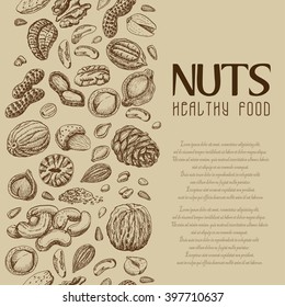 Vector background with nuts and seeds. Vector  illustration for your design
