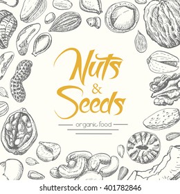 Vector background with nuts and seeds. Vector  illustration for your design