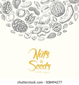 Vector background with nuts and seeds. Vector illustration for your design