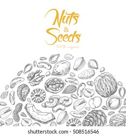 Vector background with nuts and seeds. Vector illustration for your design