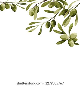 Vector background with olive tree decoration. Vegan food illustration