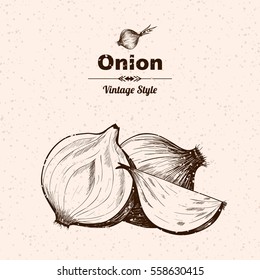 Vector background with onion  . Hand drawn. Vintage style