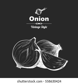 Vector background with onion  . Hand drawn. Vintage style