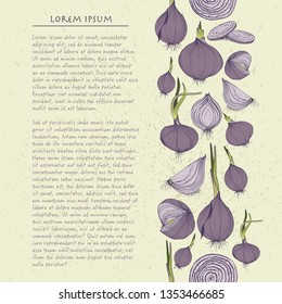 Vector background with onions square template for social media with vegetables 