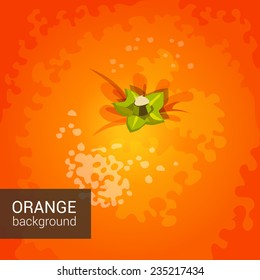 Vector background with orange